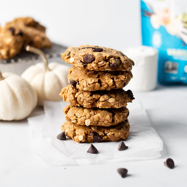 Pumpkin Chocolate Chip Protein Cookies