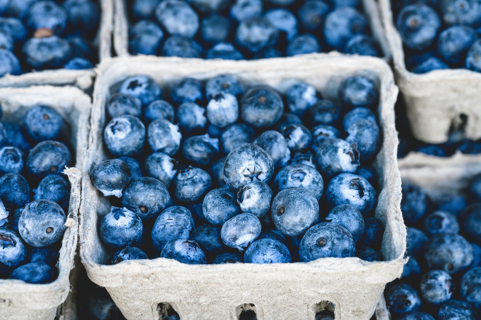 why blueberries and other berries are good for you