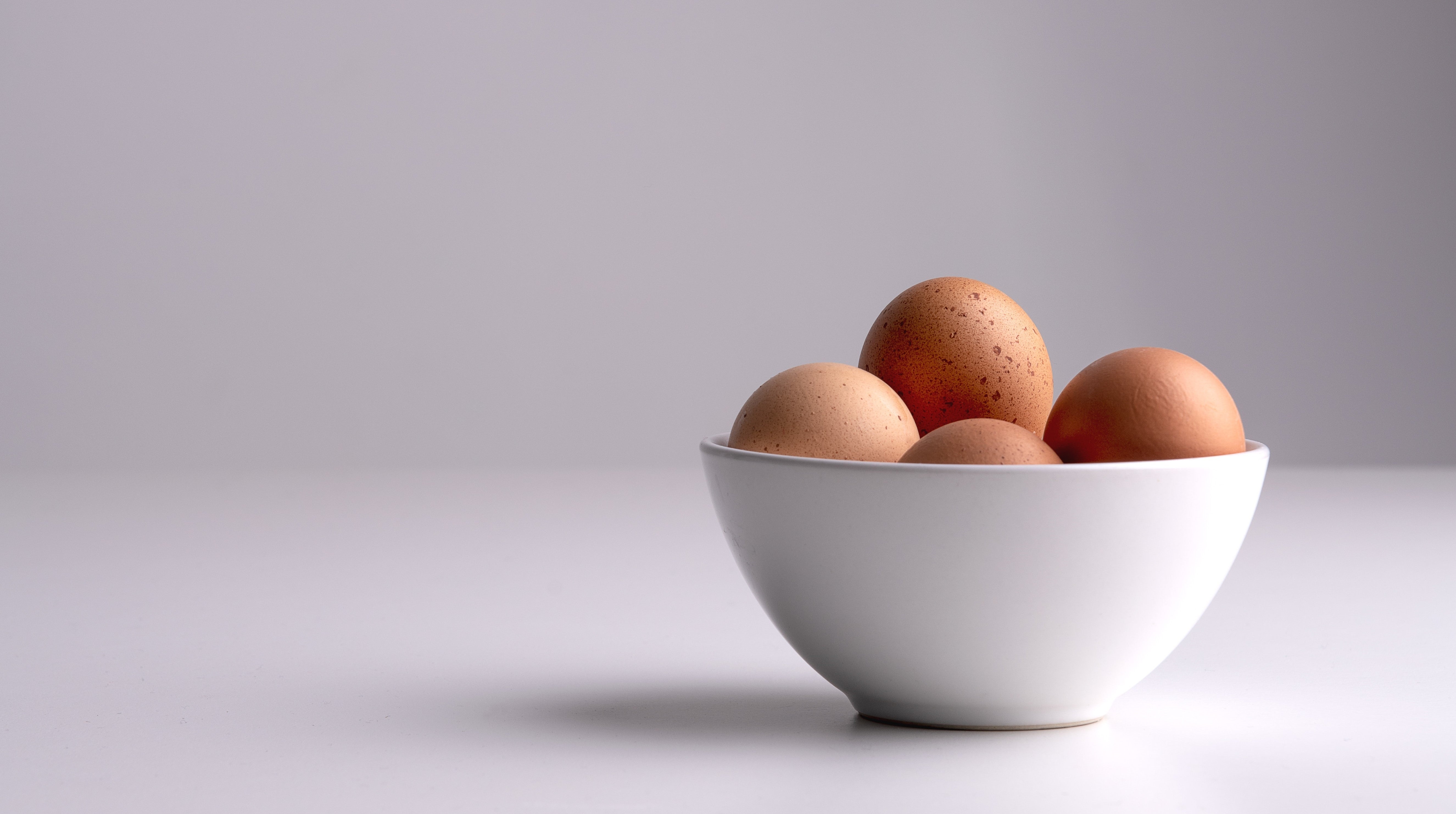 Eggsploration: All About Eggs