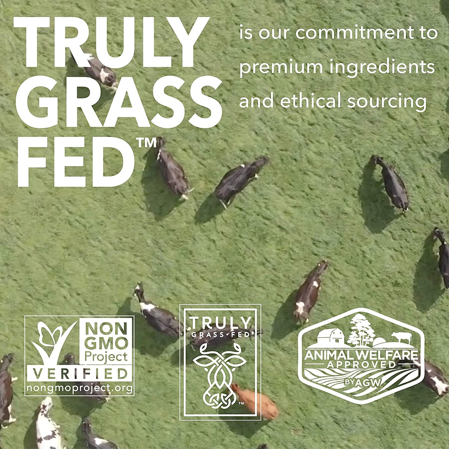 ICONIC Protein is Truly Grass Fed Verified - this means it is Non-GMO Project Verified, Truly Grass Fed Verified, and Animal Welfare Approve by A Greener World.